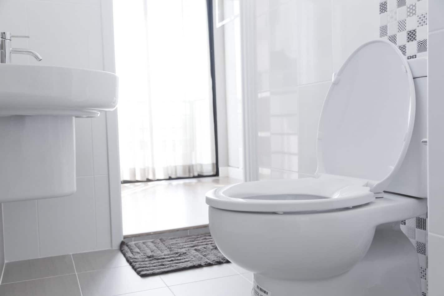 Why is My Toilet Bubbling? Gotelli Plumbing