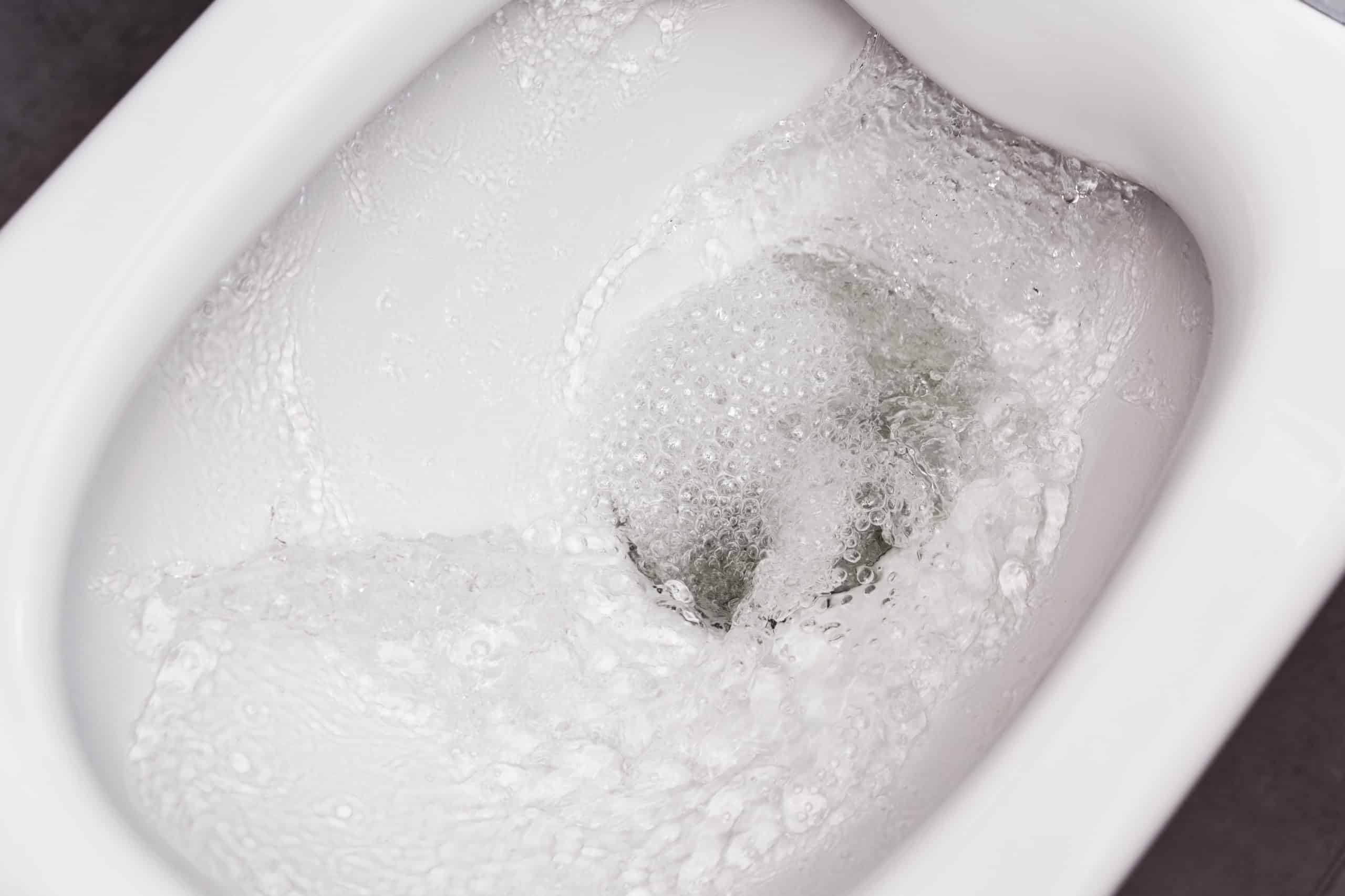 Why Is My Toilet Running? Gotelli Plumbing